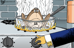BARR THE TOADY by Bruce Plante