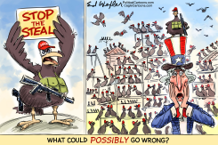 WHAT COULD GO WRONG by Ed Wexler