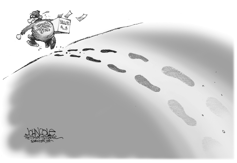 Electronic voting