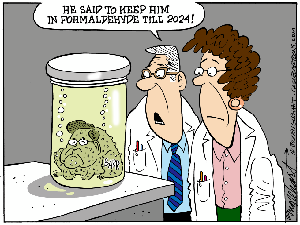 Barr The Toady Preserved