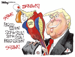 FLORIDA PARROT SCOTT by Bill Day