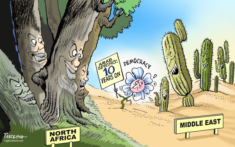 Arab spring ten years