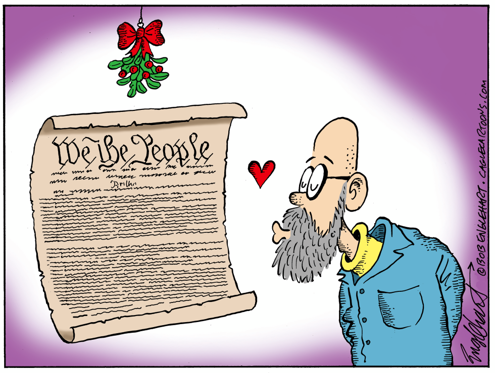 Love That Constitution