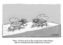 FLY ON THE WALL by Peter Kuper