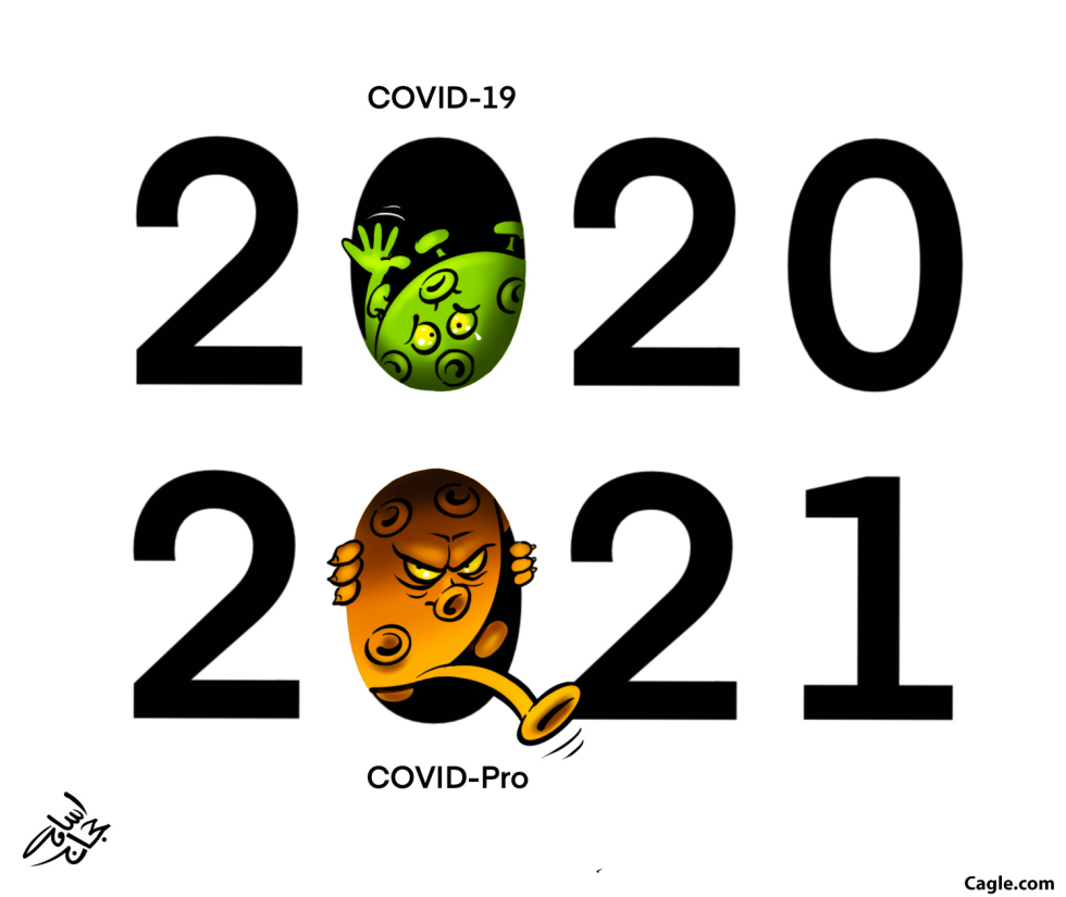 Year 2020