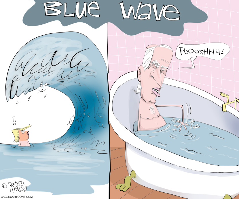 Phony Blue Wave