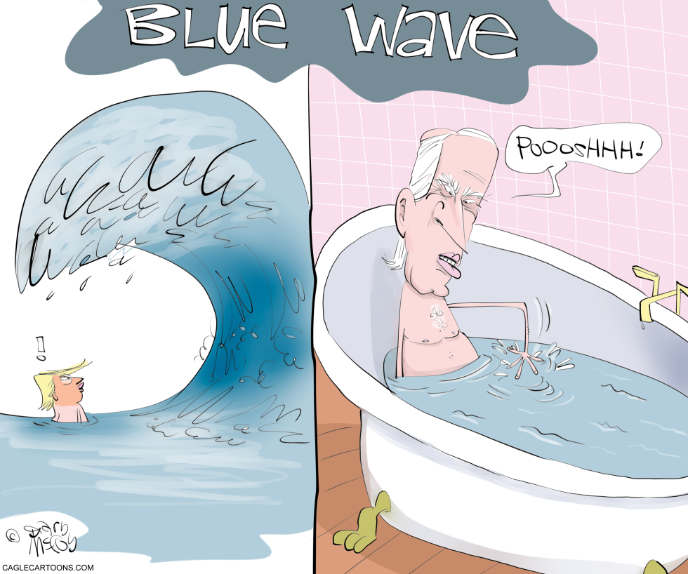 Phony Blue Wave