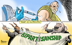 YEAR OF THE NEEDLE by Paresh Nath