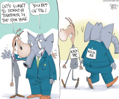 BIPARTISAN DECEIT by Gary McCoy