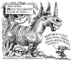 NEW DEMOCRAT by Sandy Huffaker