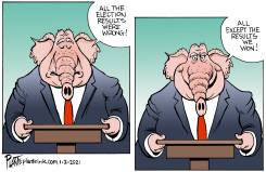 BOGUS ELECTION by Bruce Plante