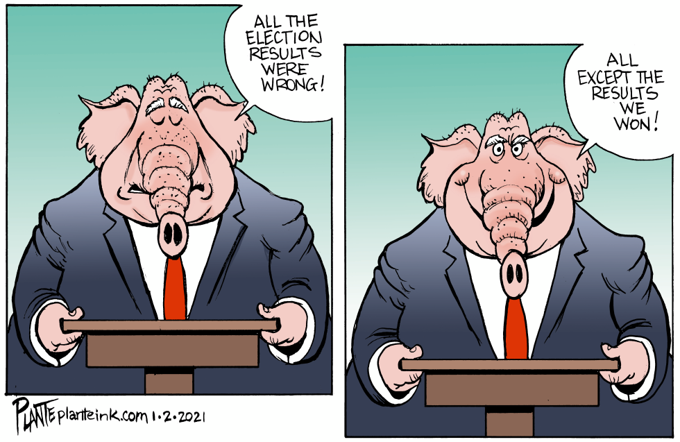 Bogus election?