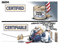 GEORGIA MEDDLING by Steve Sack