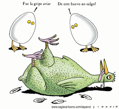 GRIPE DE LAS AVES /  by Osmani Simanca