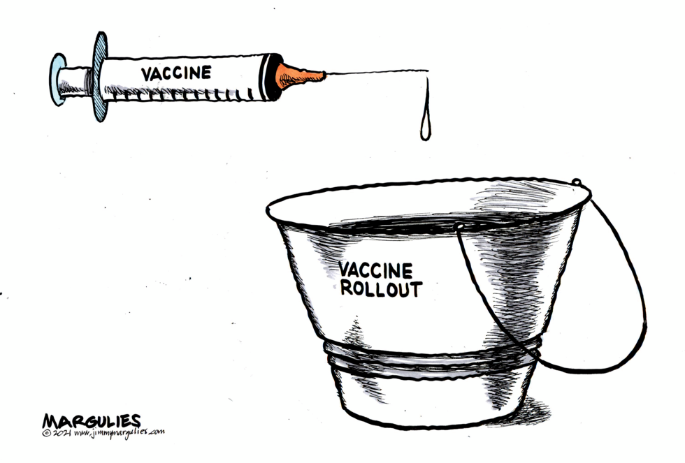 Vaccine Rollout