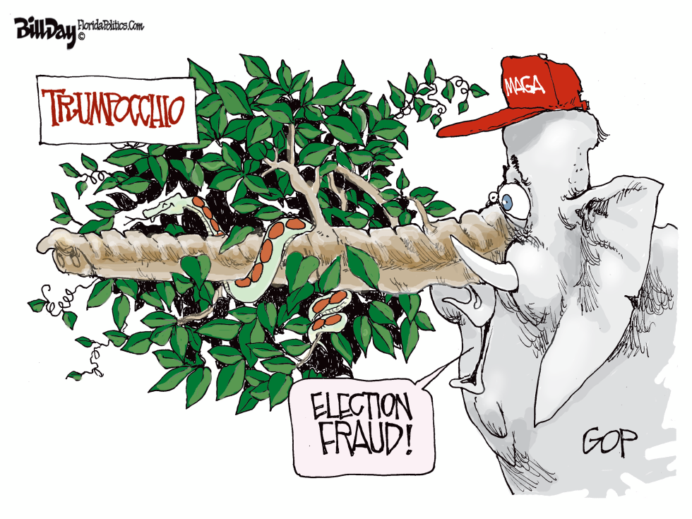 Election Fraud