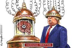 Q BRAIN TRANSFER MORNING BRIEFING by Ed Wexler