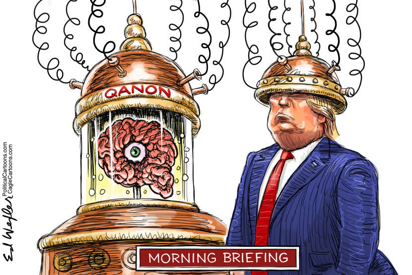 Q Brain Transfer Morning Briefing