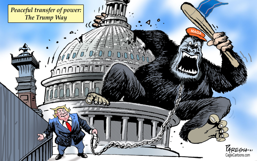 Pro-Trump rioters at US Capitol