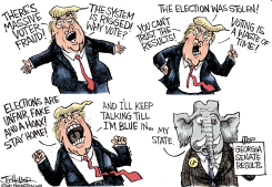 GEORGIA SENATE RESULTS by Joe Heller