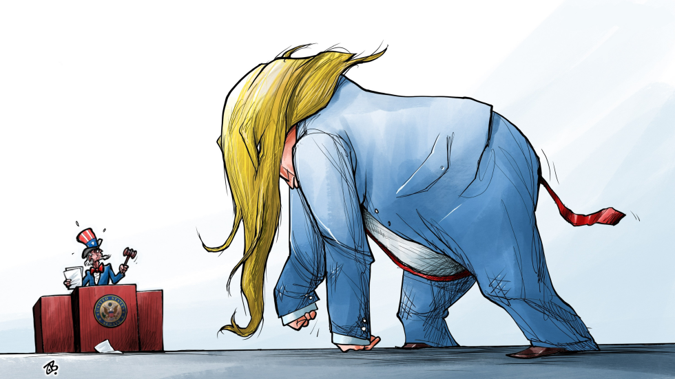 Trumpers in the Congress