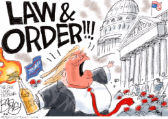 TRUMP INSURRECTION  by Pat Bagley