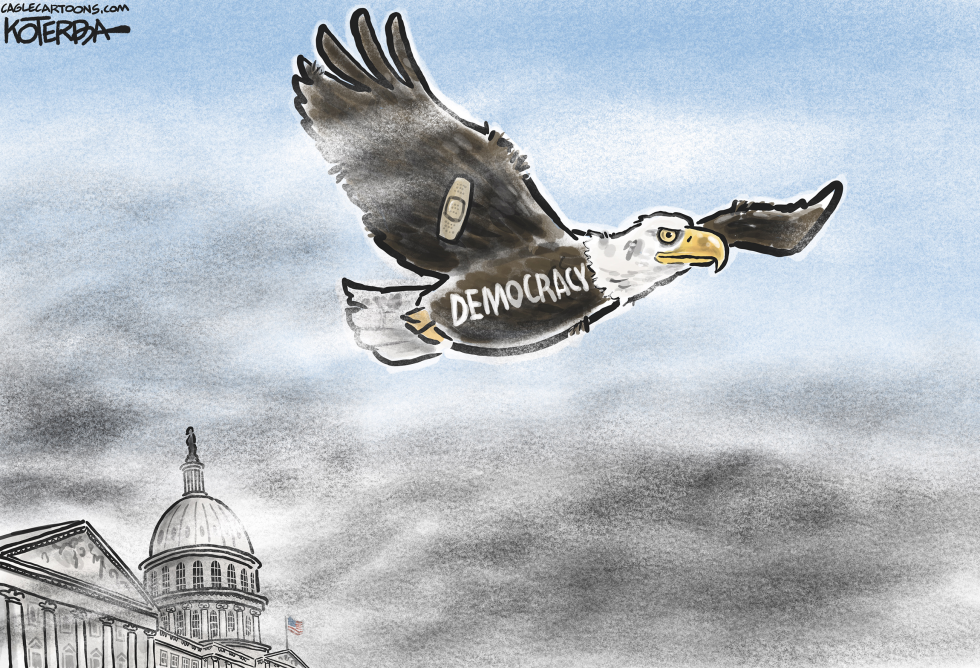 Democracy's Return to Flight