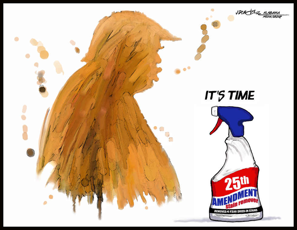 Trump Stain Remover