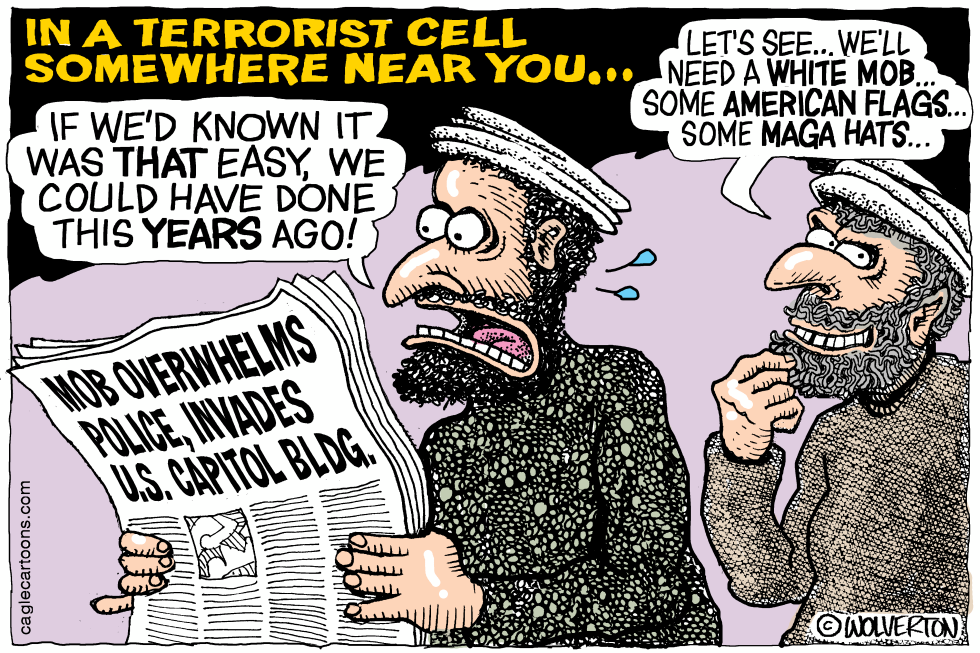 Terrorists and Capitol Insurrection