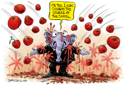 SEDITION TOMATOES  by Daryl Cagle