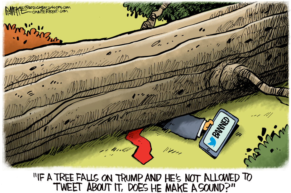 Twitter Bans Trump