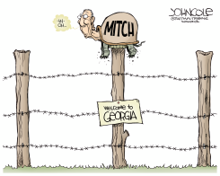 MCCONNELL STRANDED by John Cole