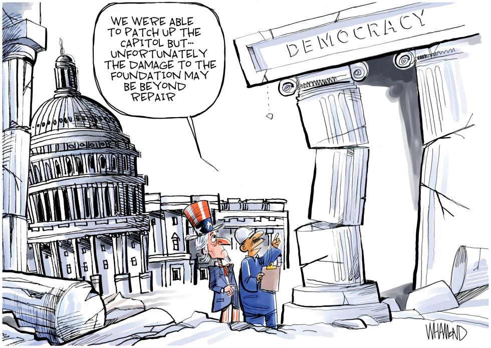 FOUNDATIONS OF DEMOCRACY by Dave Whamond