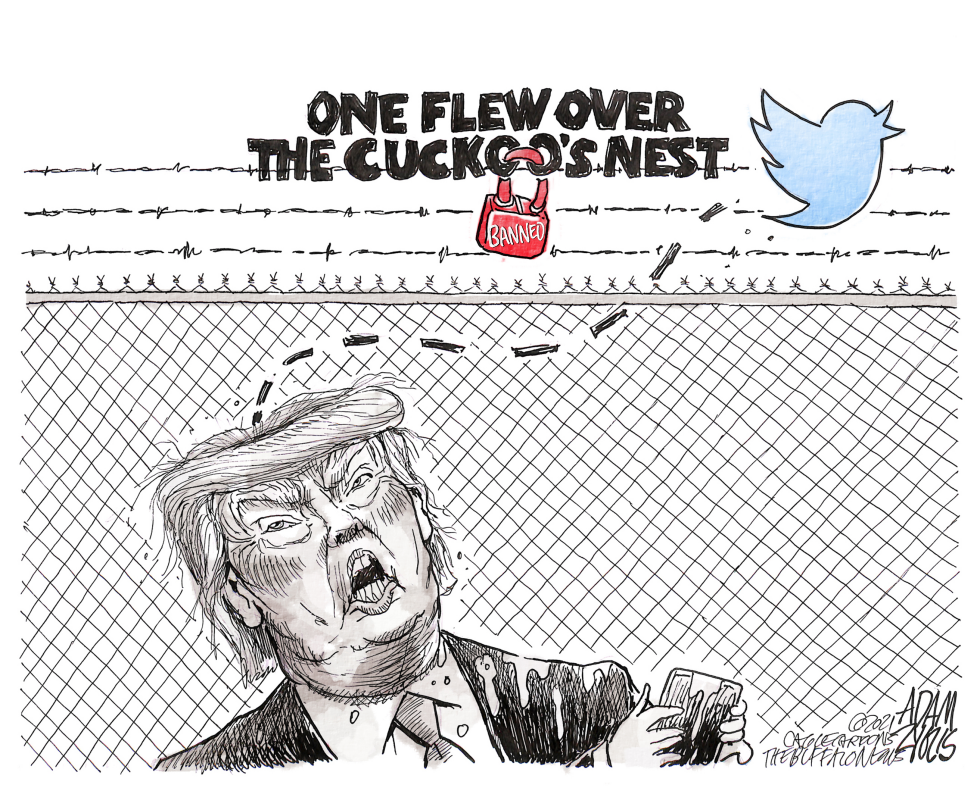 Twitter ban