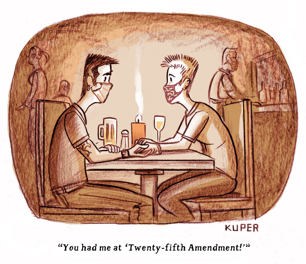 You had me at Twenty-fifth Amendment