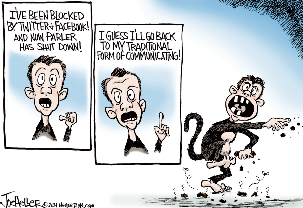 Social Media