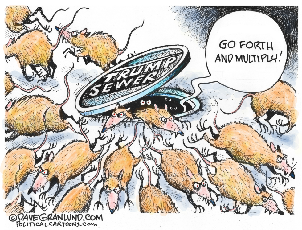 Trump Sewer Rats