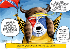 PARTIAL LAW by Dave Whamond
