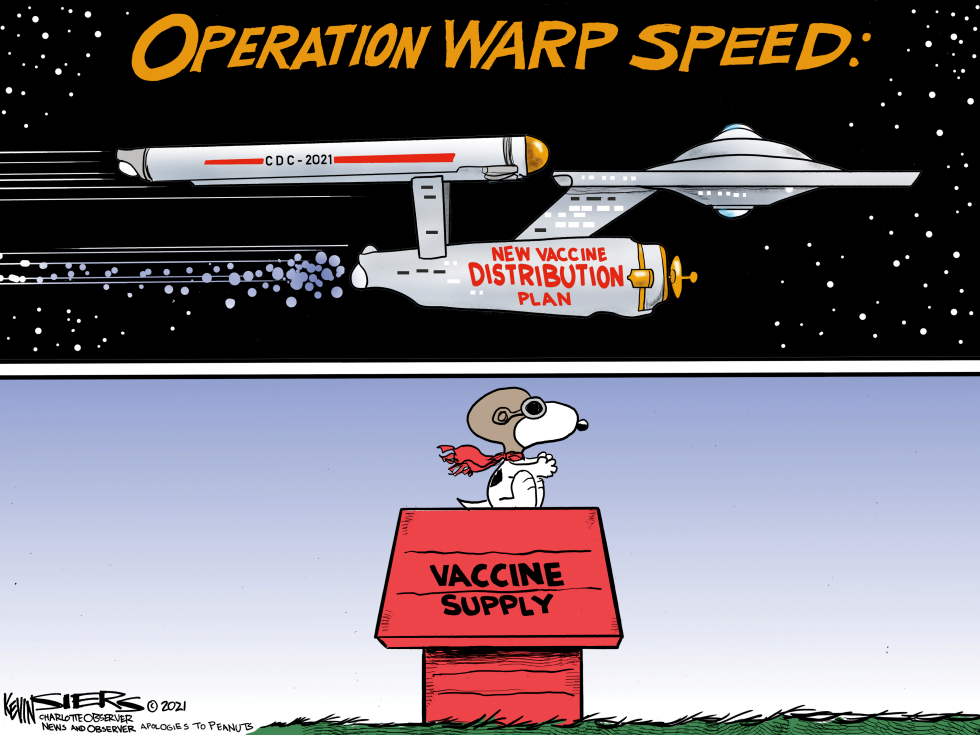 Vaccine Rollout