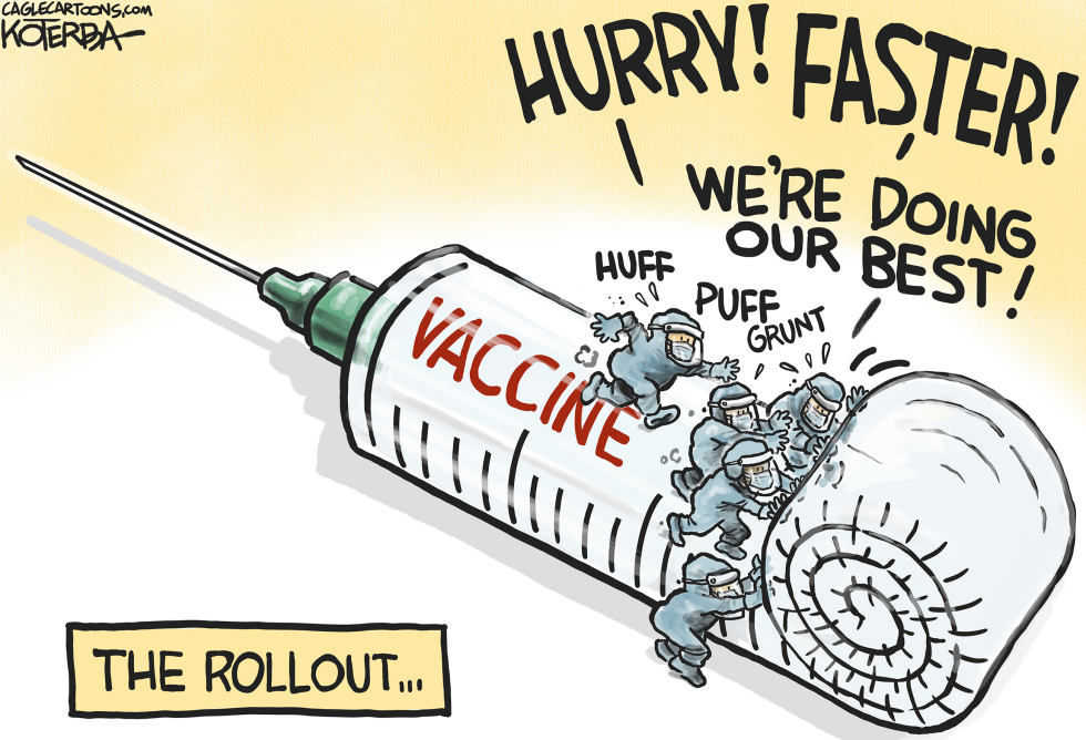 Vaccine Rollout