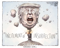 IMPEACHMENT PART 2 by Adam Zyglis