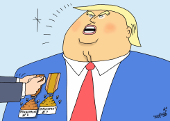 SECOND IMPEACHMENT  by Stephane Peray
