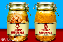 IMPEACHED TWICE by Bart van Leeuwen