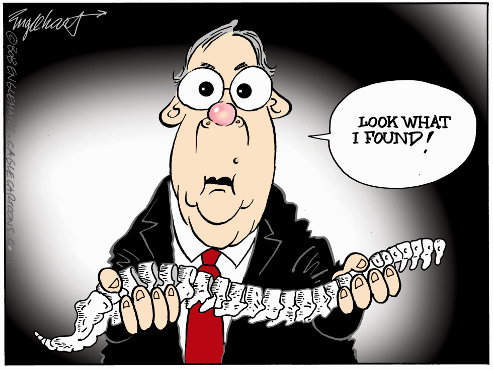 Mitch Switches