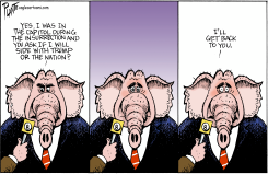 TRUMP OR THE NATION by Bruce Plante