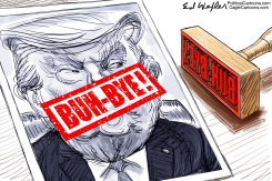 BUH BYE TRUMP by Ed Wexler