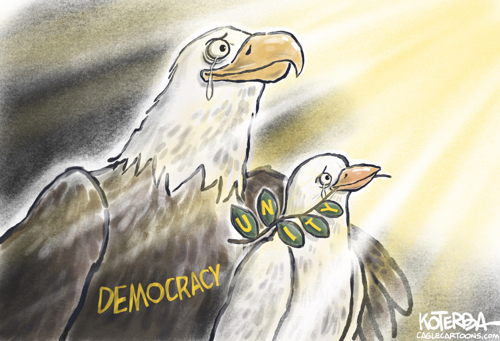 Democracy, Unity, and a Ray of Hope