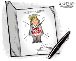 BIEN EXECUTIVE ORDER by John Cole