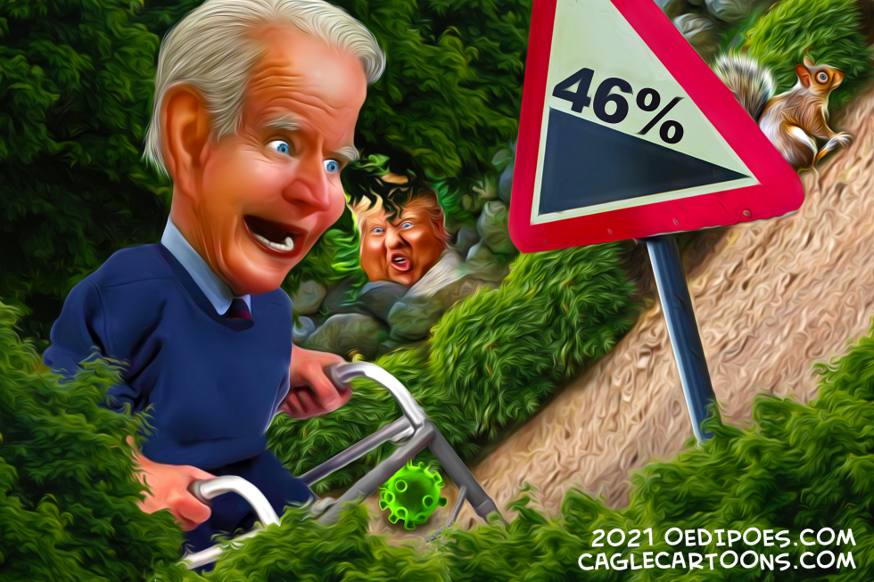 The Road Ahead