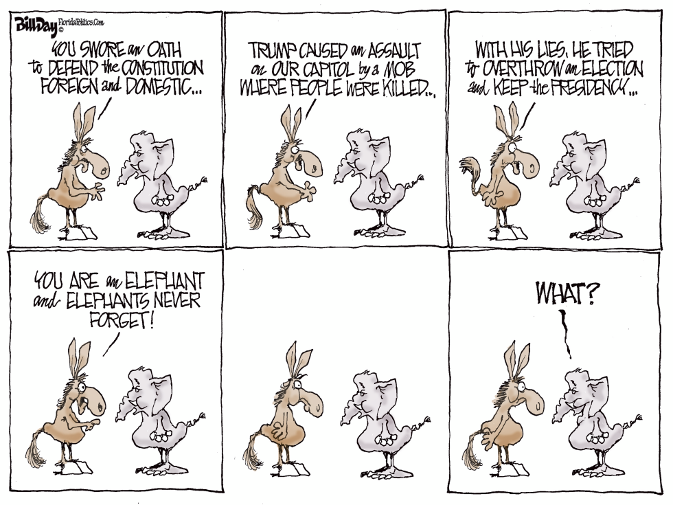 Elephants Forget